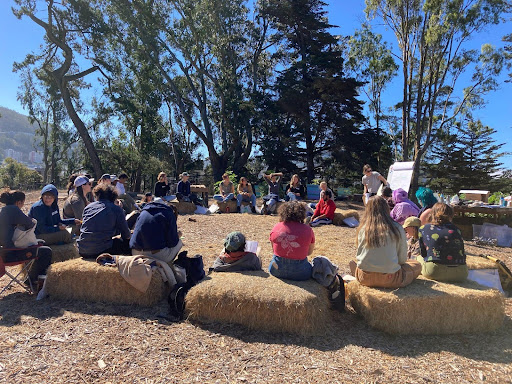 People sitting on hay bundles in a circle formation on a clear sunny day