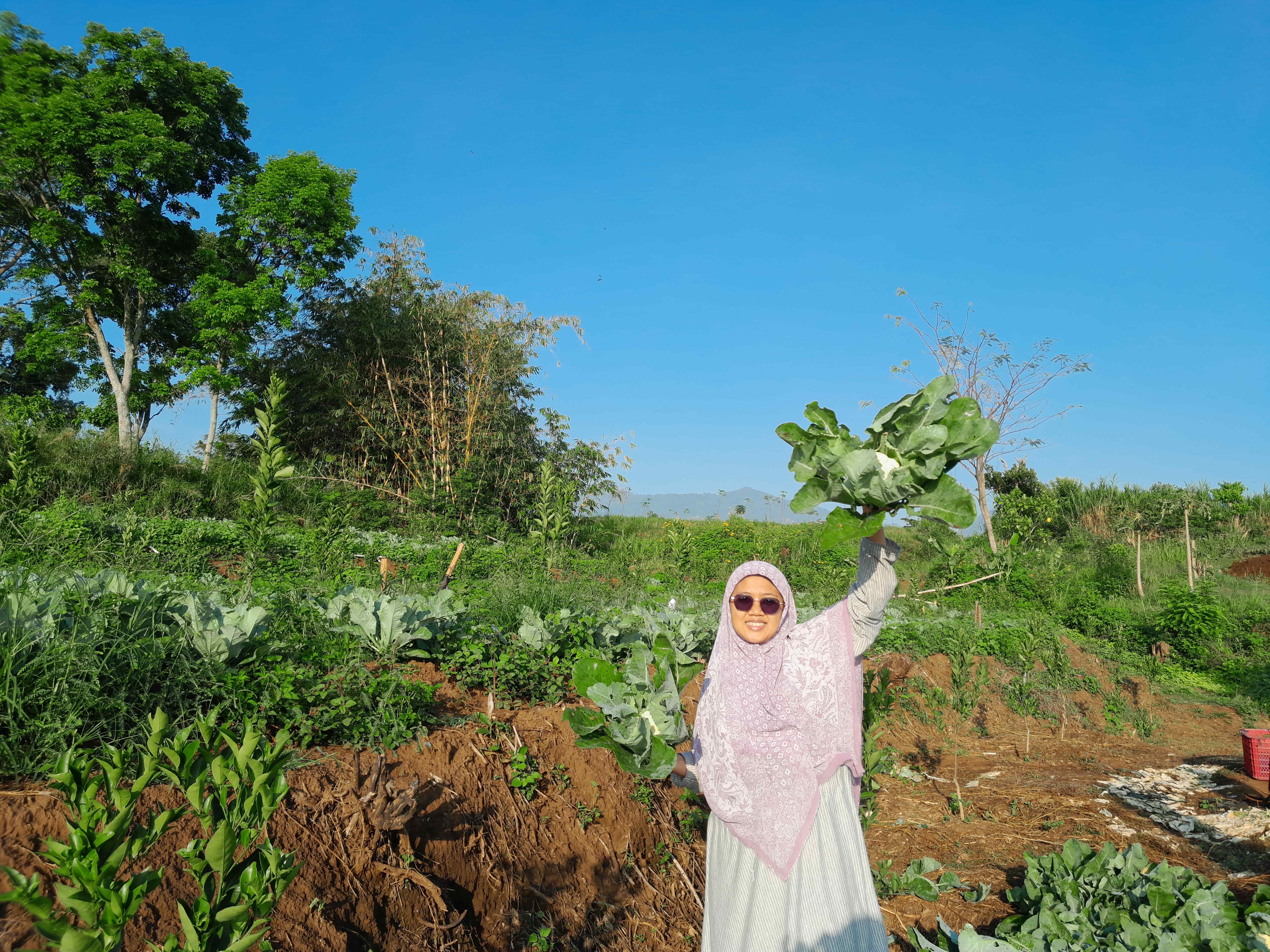 Cardboard mountain in the foreground, with students in the back
