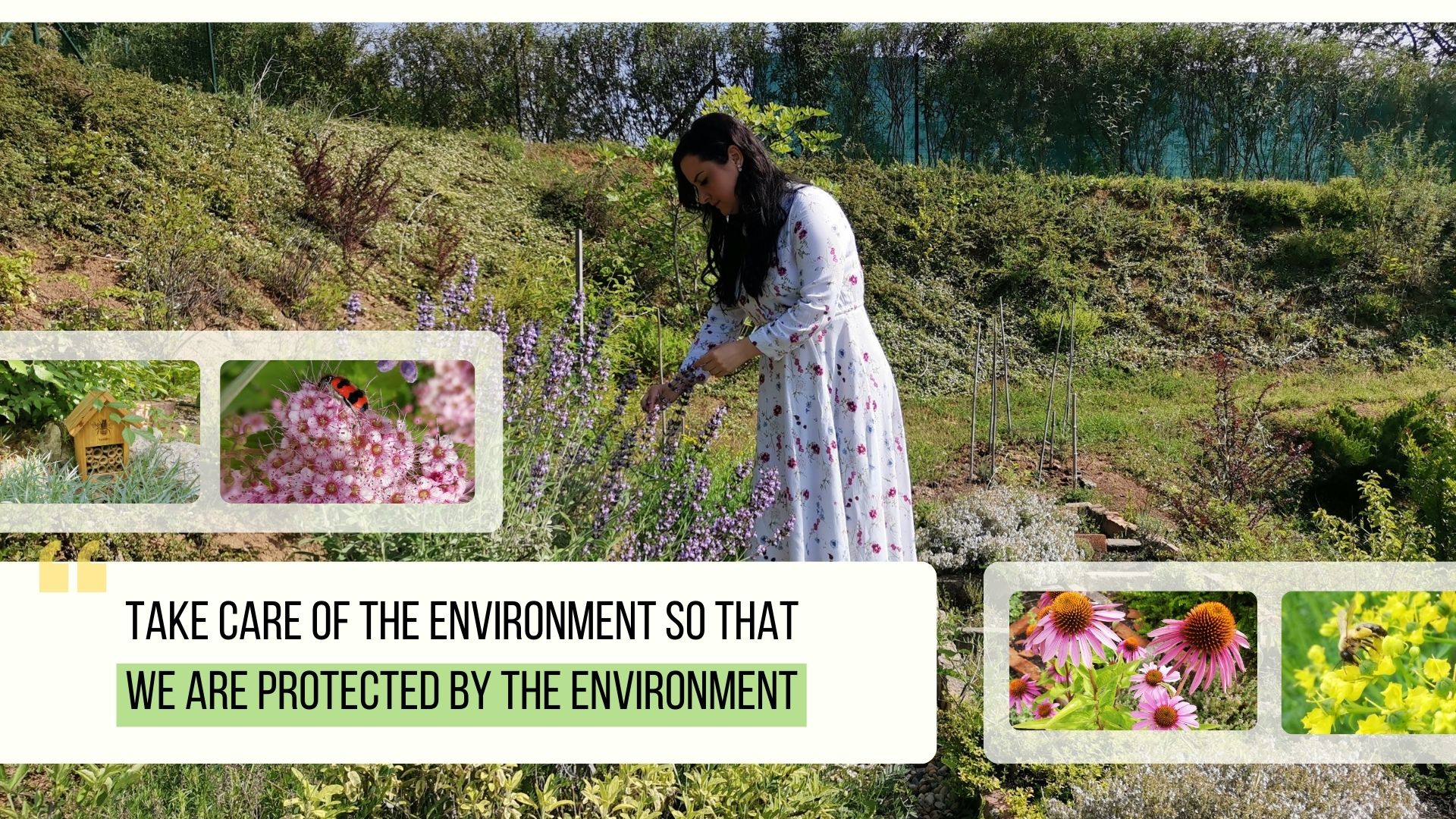 The balance of the ecosystem is the key to our future