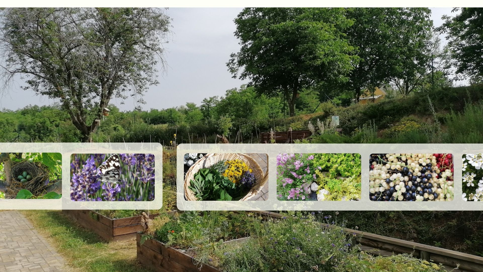 Ecological Farm and Bird-Nest Box Station