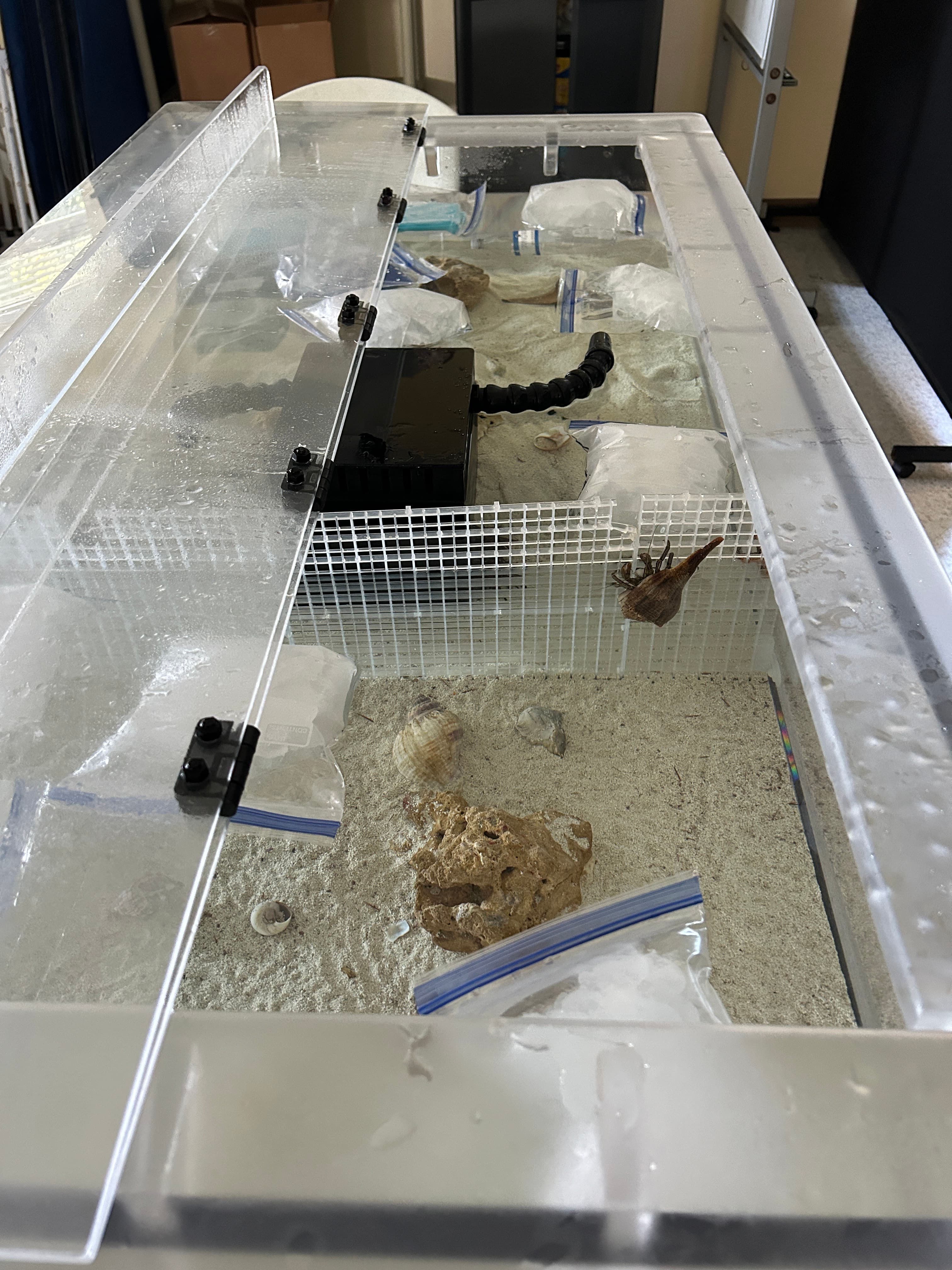 Invertebrate tanks