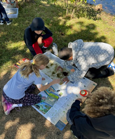 Students studying outside
