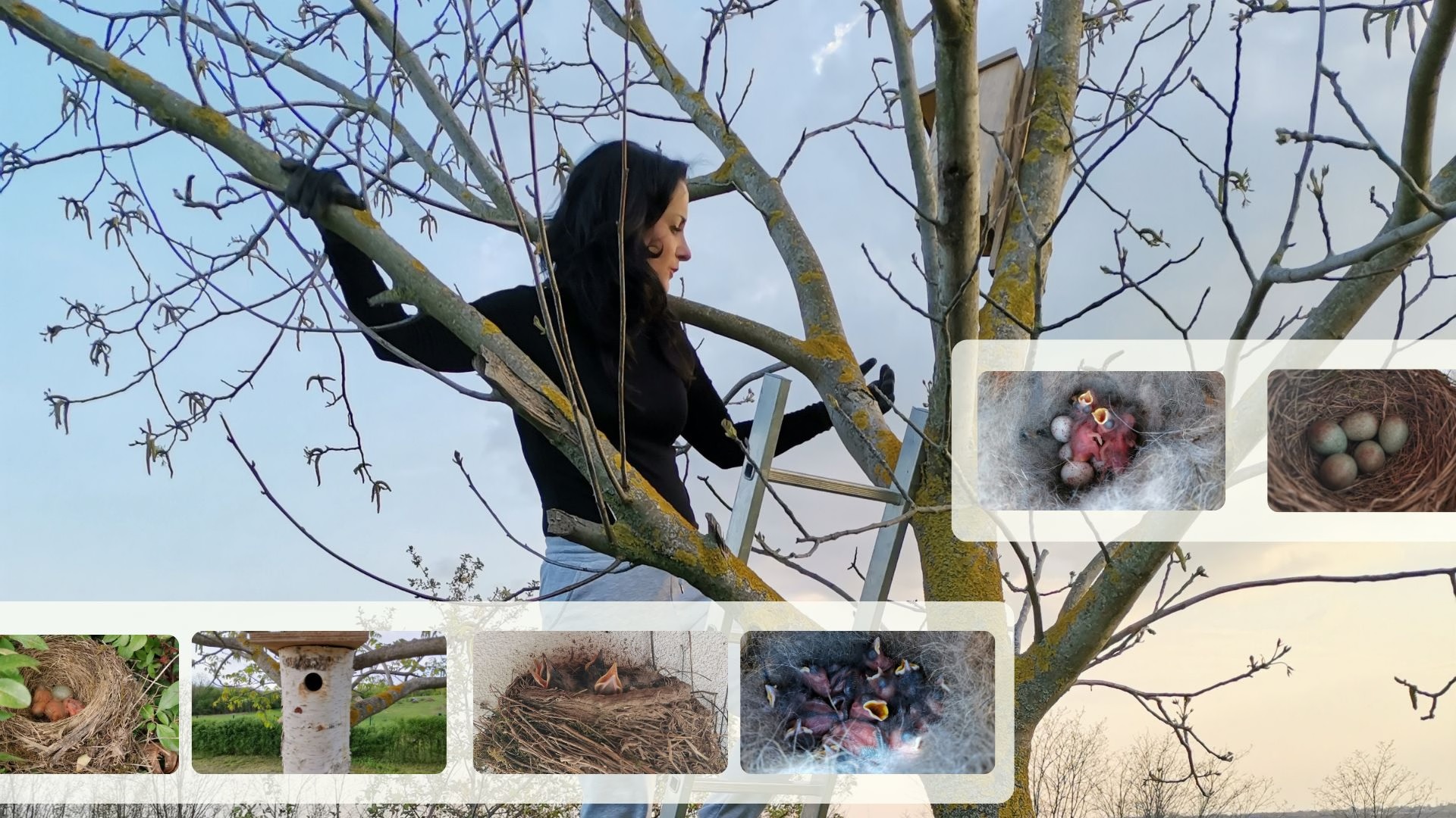 Together with the birds of the world