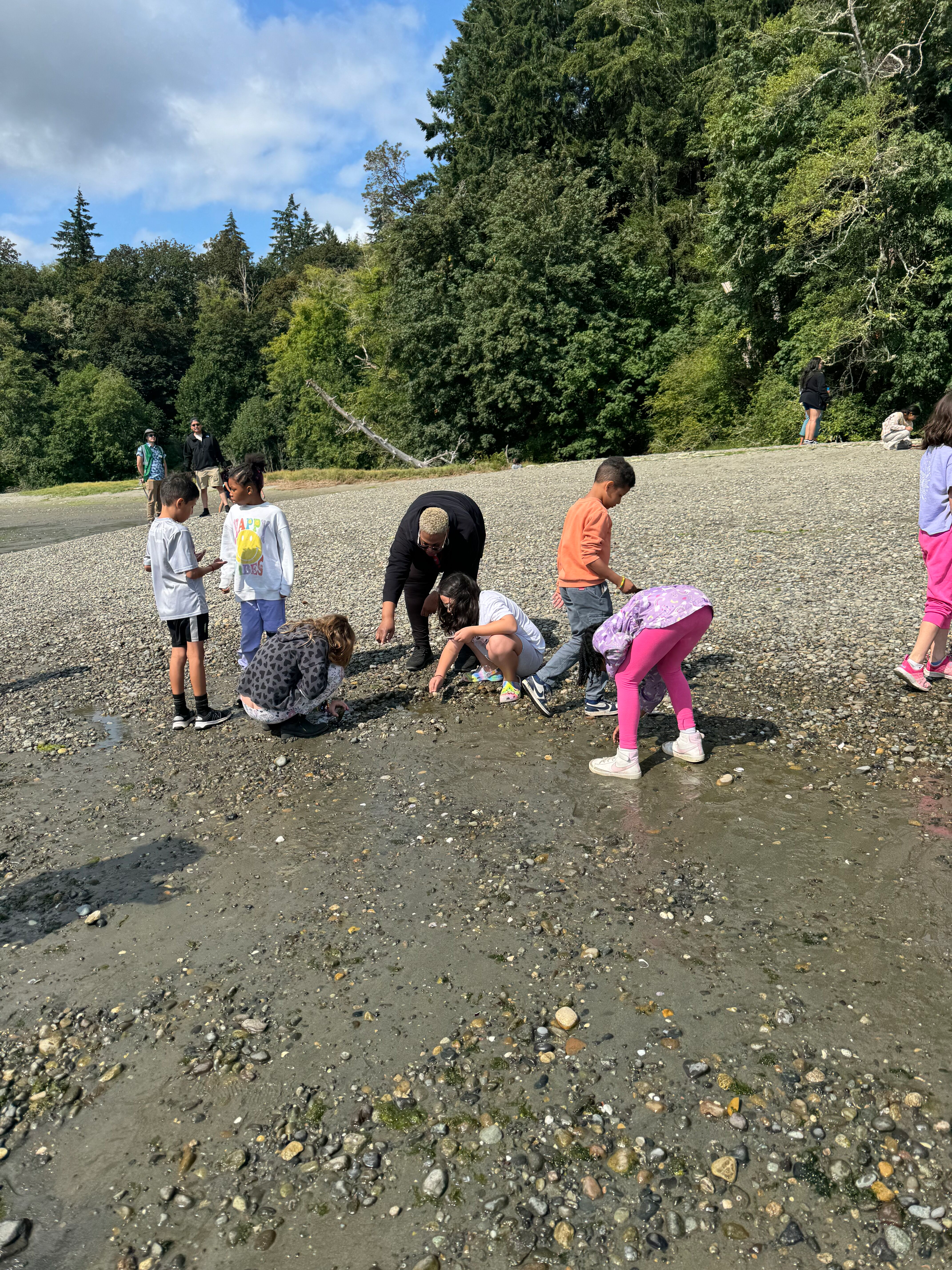 Students search the ground at shore