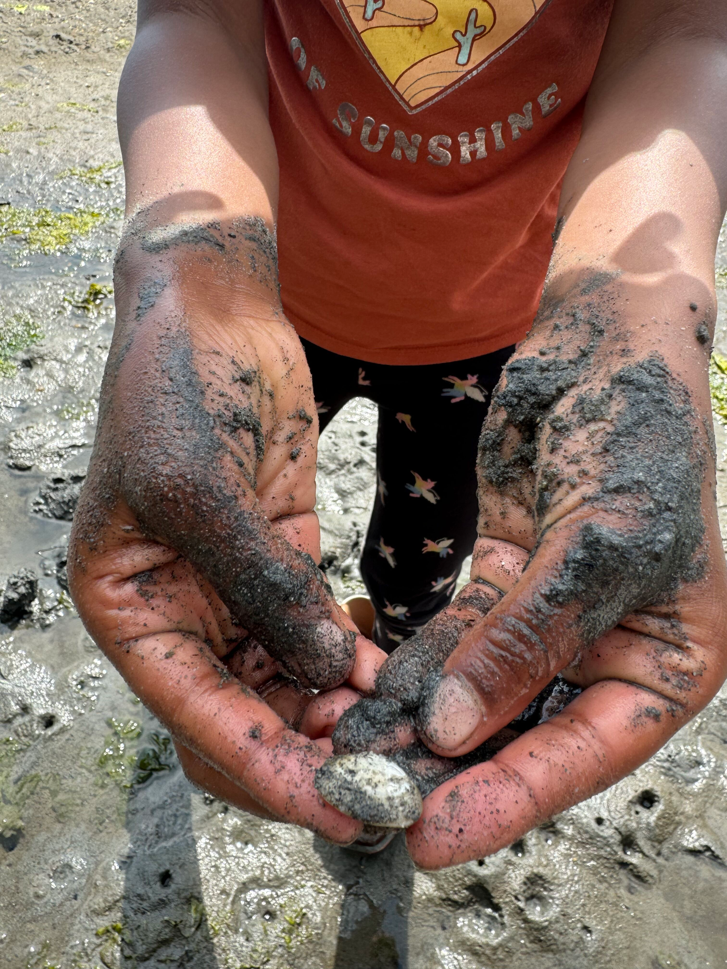 Student holds up an estuary creature in a shell