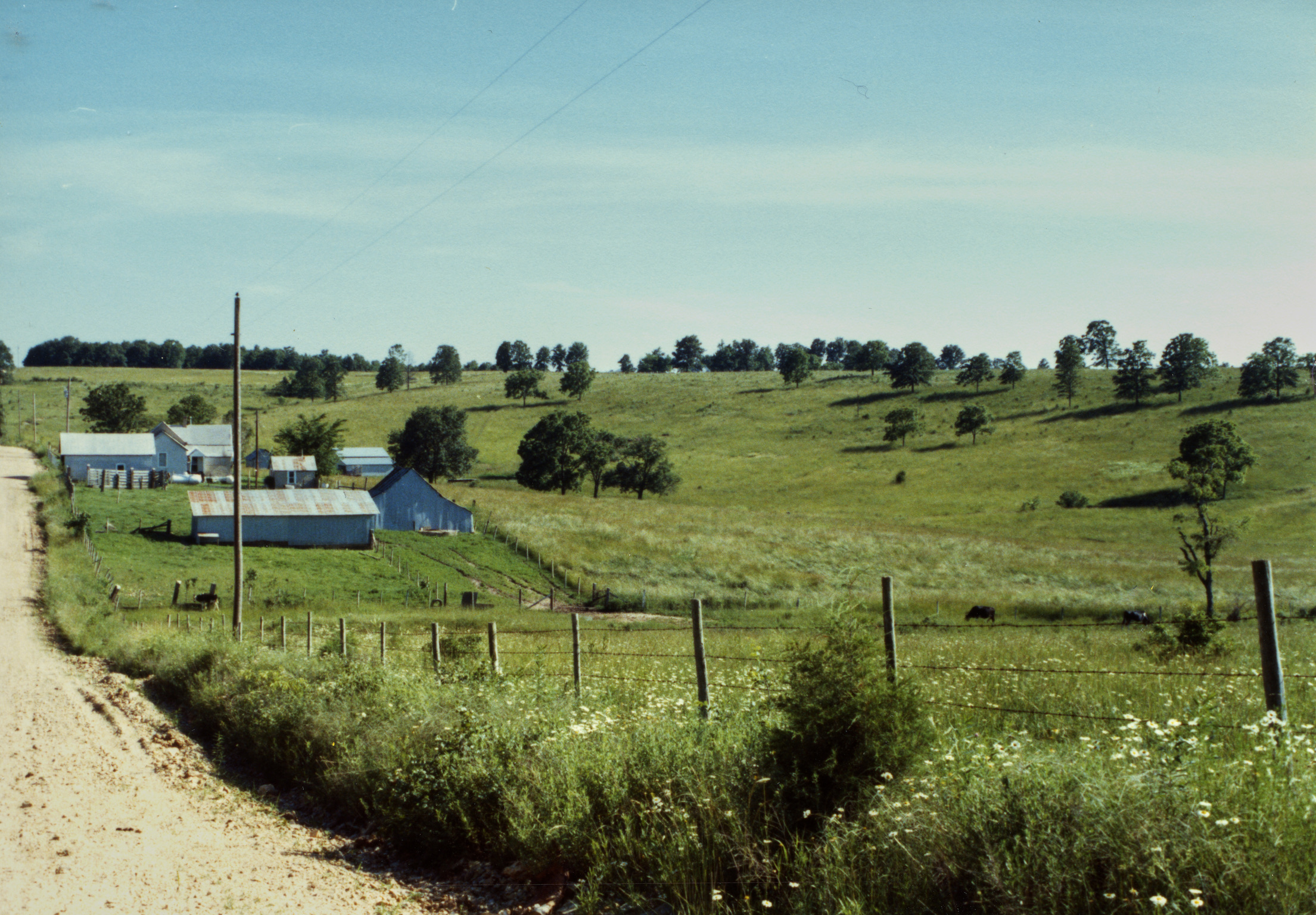Green fields and a farm