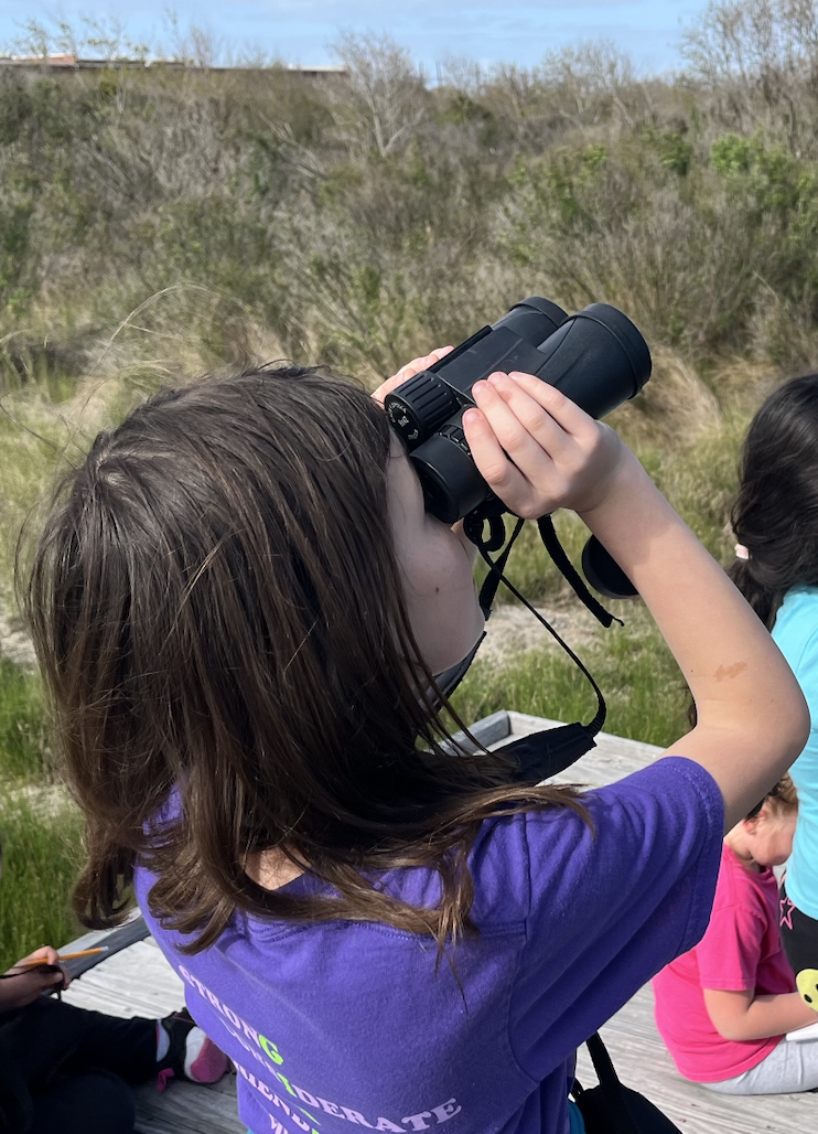 a female child wearing a purple shirt stands on a boardwalk and looks through binoculars at the sky above coastal prairie grasses with a blue sky in the distance. 