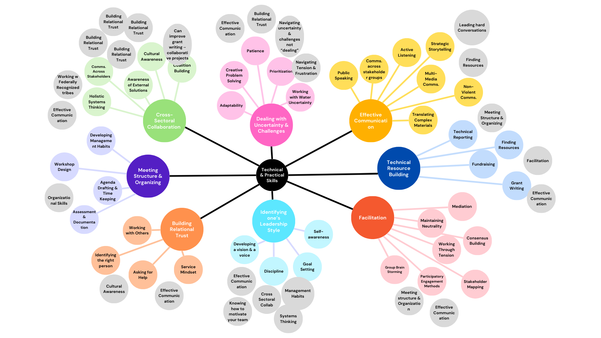 Bubble map of different skills considered key to water leadership