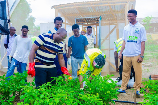 students harvest red peppers