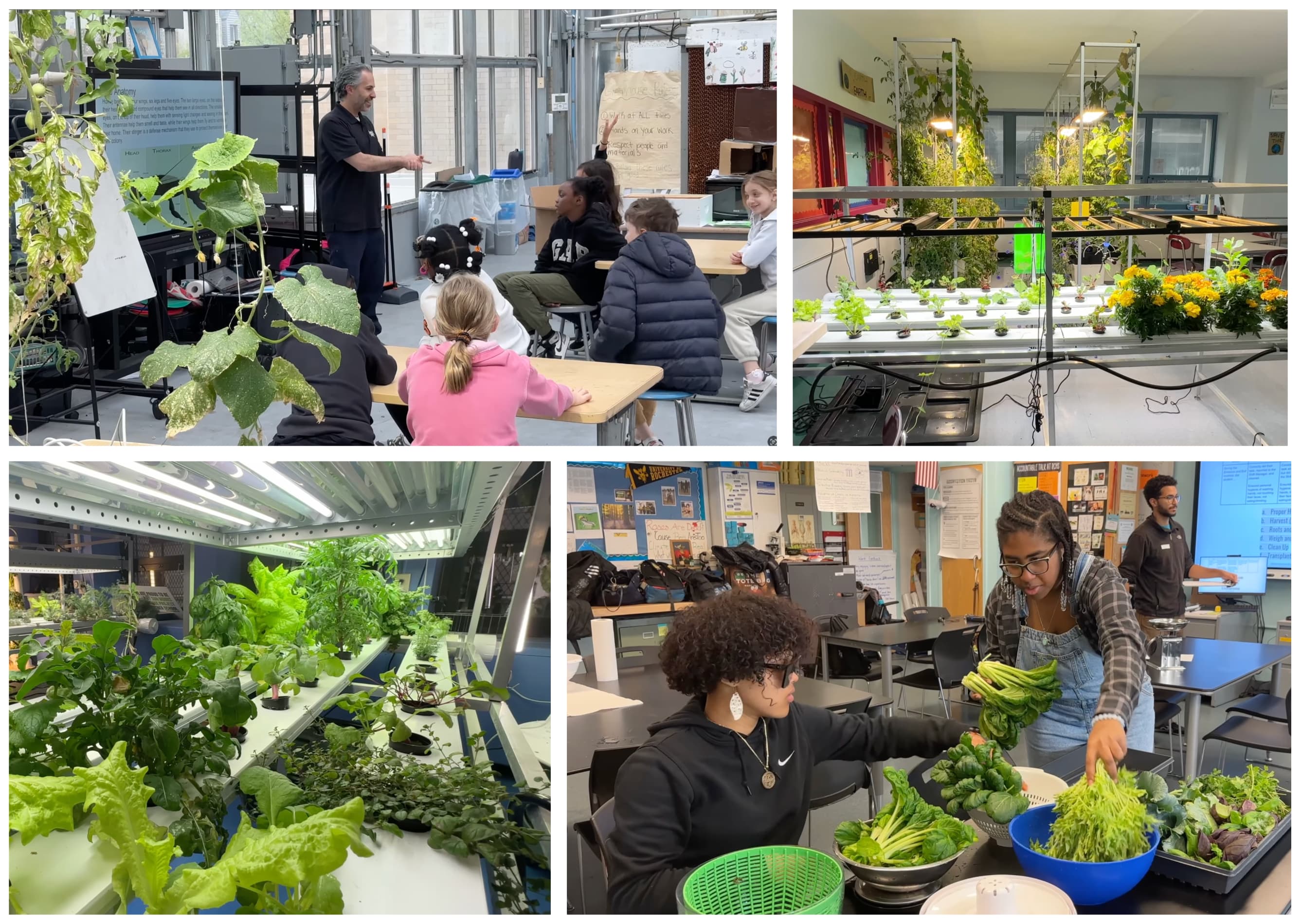 Photo grid showing students learning about gardening