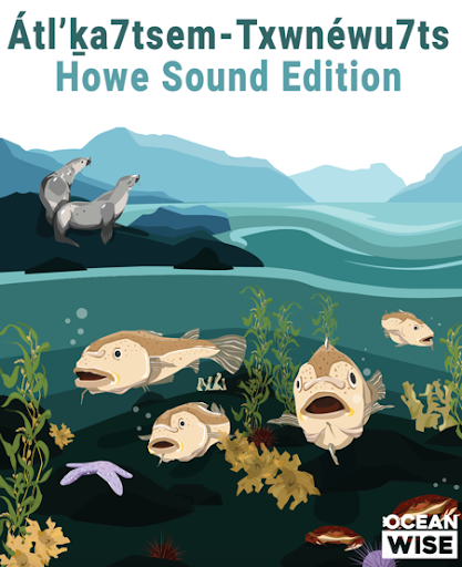 Illustrations of fish and sea stars below water, sea lions laying on rocks with a mountain range in the background