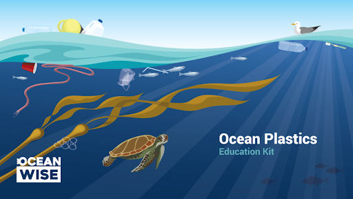 Illustrations of ocean water at the surface with plastic debris floating at the surface and a sea turtle and sea gull