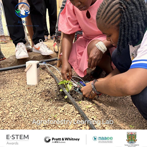 Students connect a soil sensor beside a pepper seedling