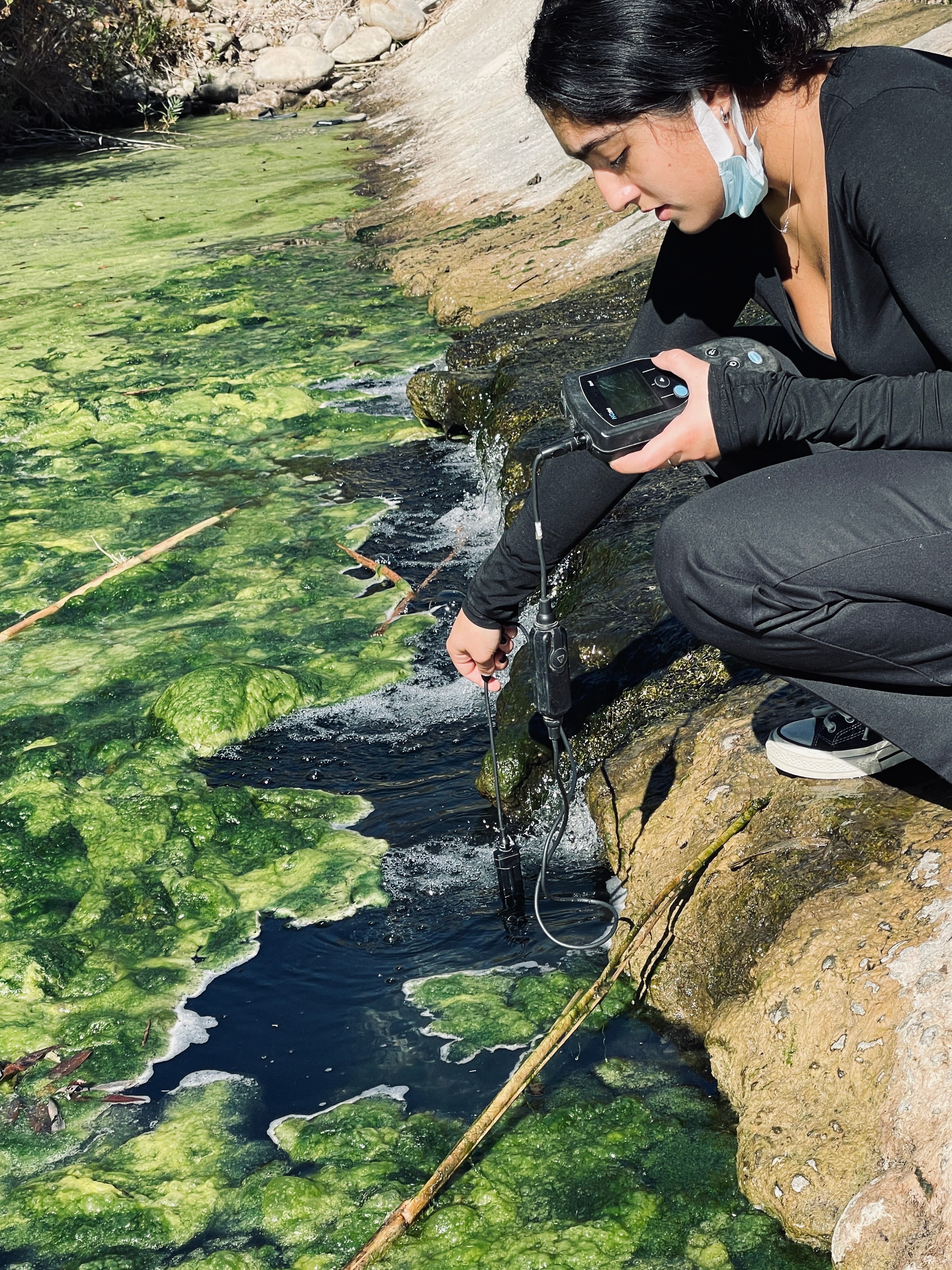 Student testing water from shore