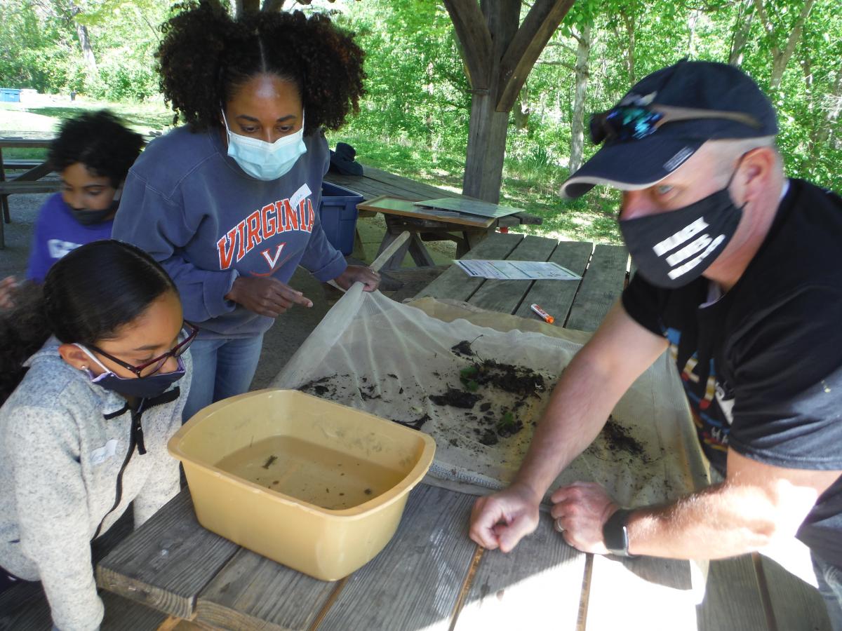 A family of three searching for macroinvertebrates in a tub of water.