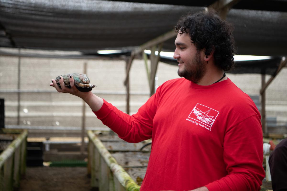 A Sea Center staff member admires a huge red abalone! 