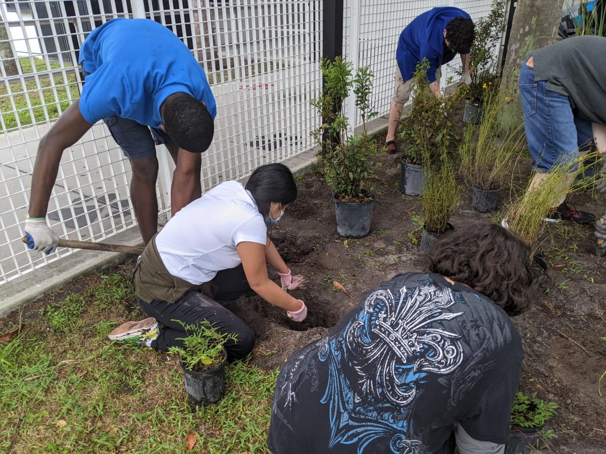 Multiple older kids planting native plants.