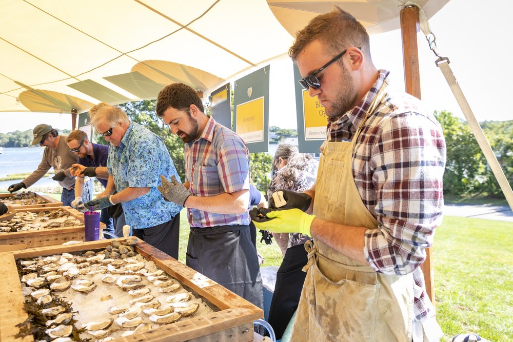 A row of people shucking oysters under a tent on a sunny day.