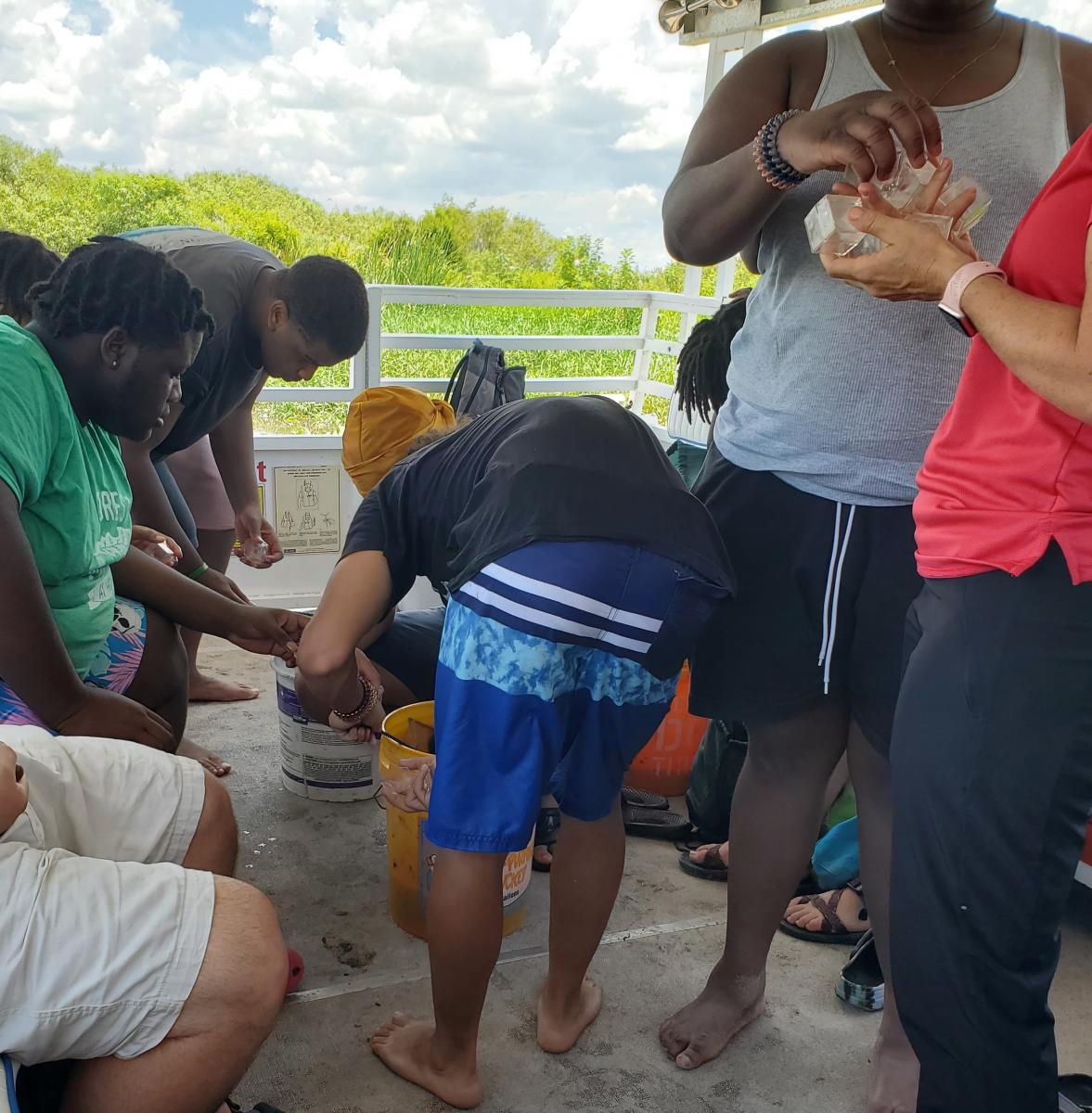 Students explore macroinvertebrates they collected in the Kissimmee River.