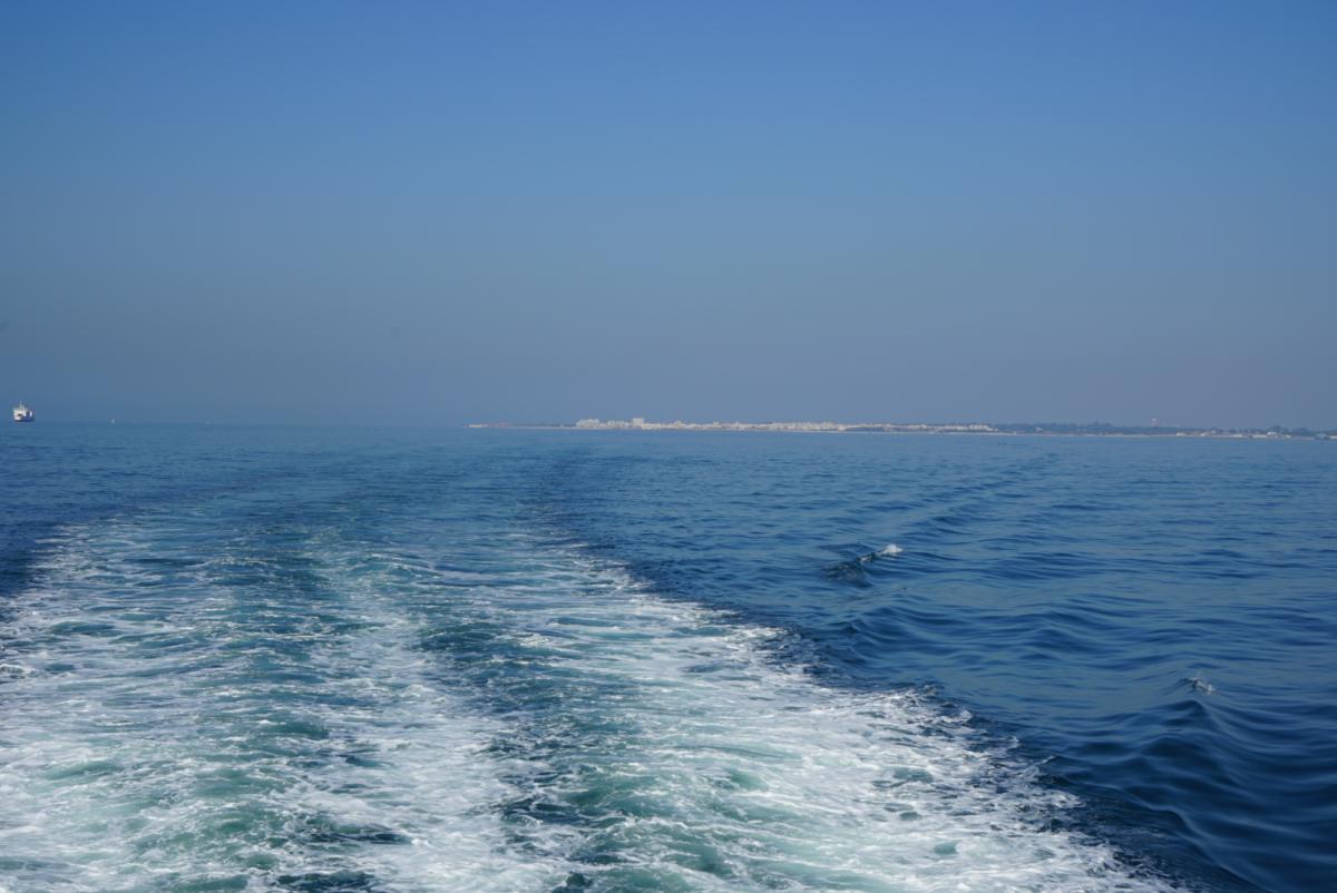 Deep blue waves are lined with turbulence. 