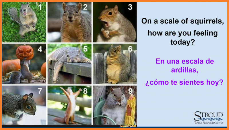 Scale of Squirrels: Incorporating silly icebreakers brings smiles to all participants! Photo Credit: David Kline