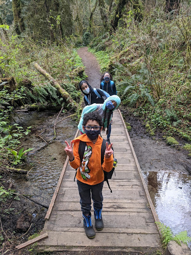 Four kids standing on a wooden bridge in a forest.