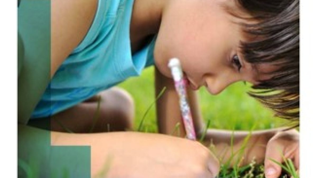 Book cover for Guidelines for Excellence K-12 Learning