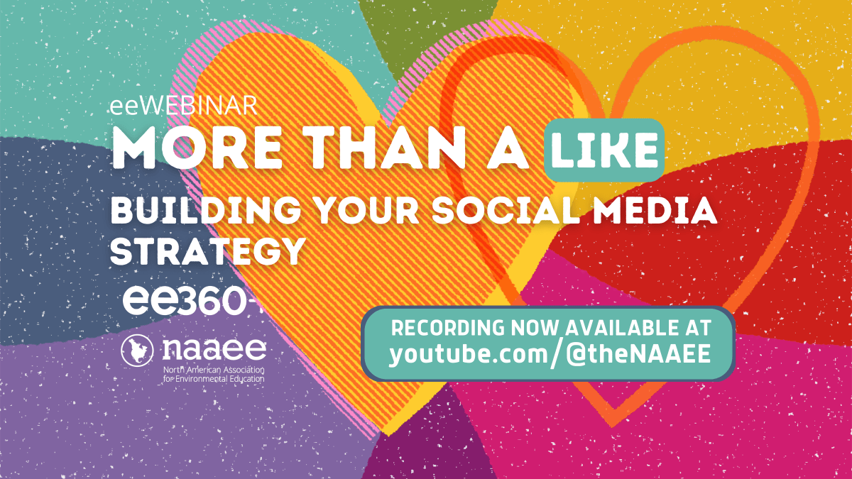 Multicolor eeWEBINAR More Than a Like graphic with YouTube update.