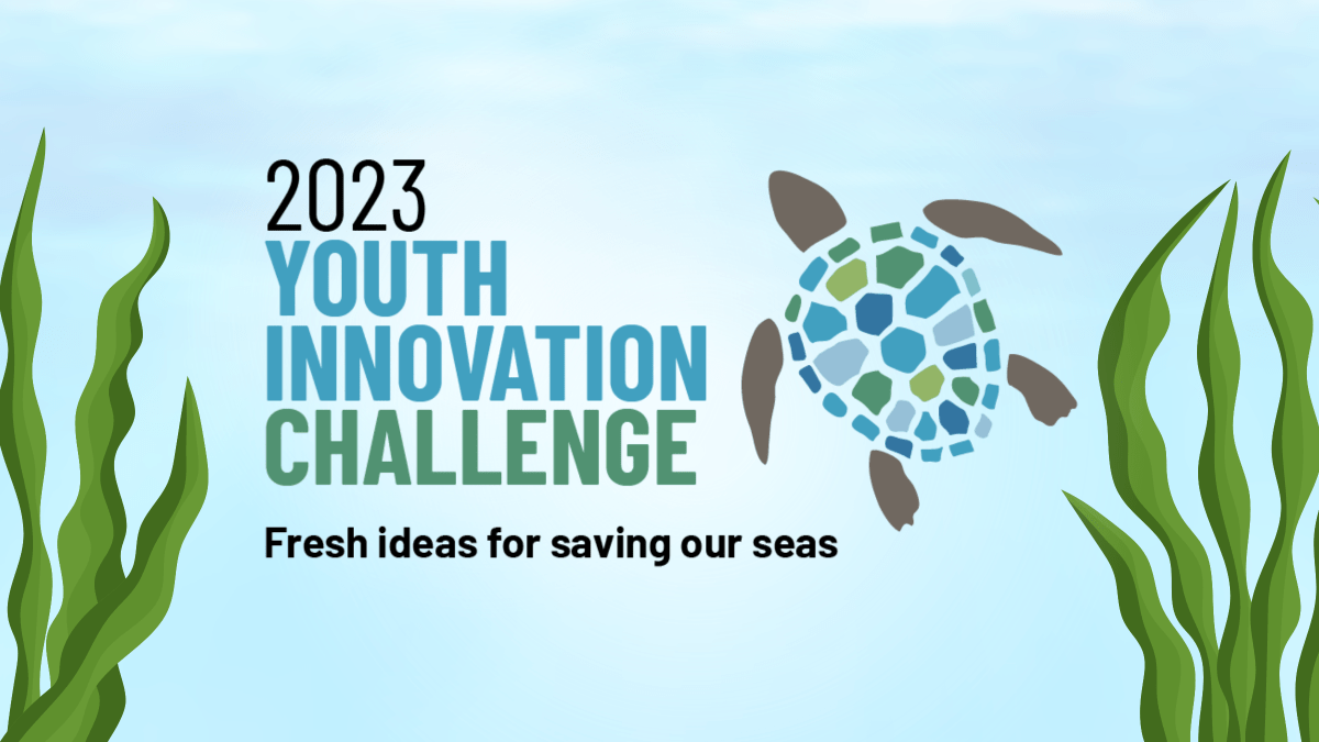 Text centered that says, "2023 Youth Innovation Challenge. Fresh ideas for saving our seas," surrounded by illustrations of seaweed, a sea turtle. The background is a light blue and white gradient.