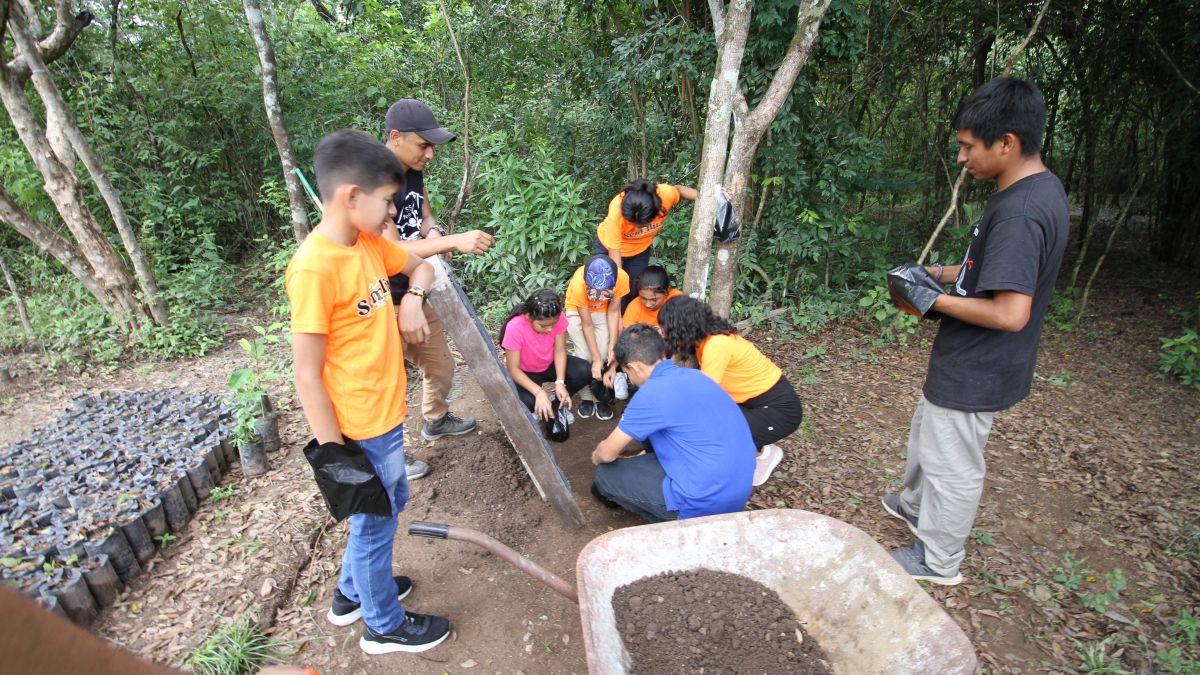 Young people preparing substrate for the plant nursery