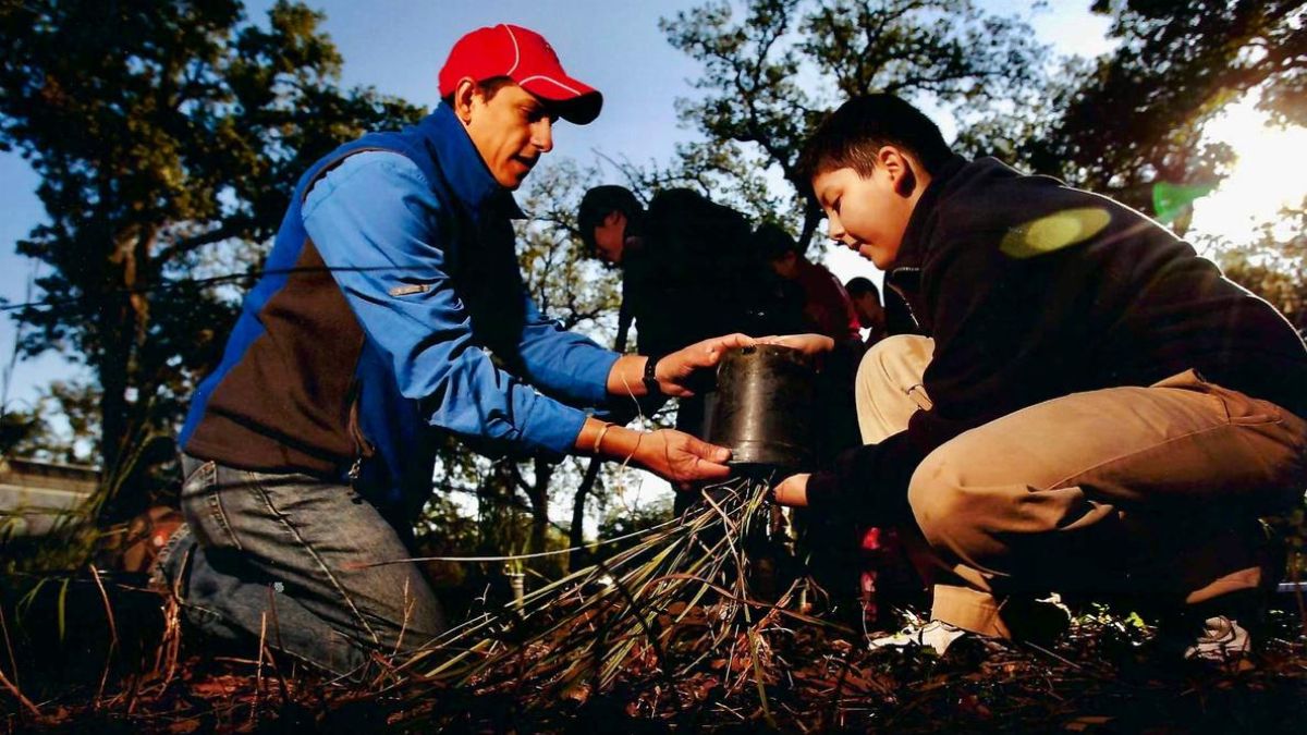 Jaime González gardening