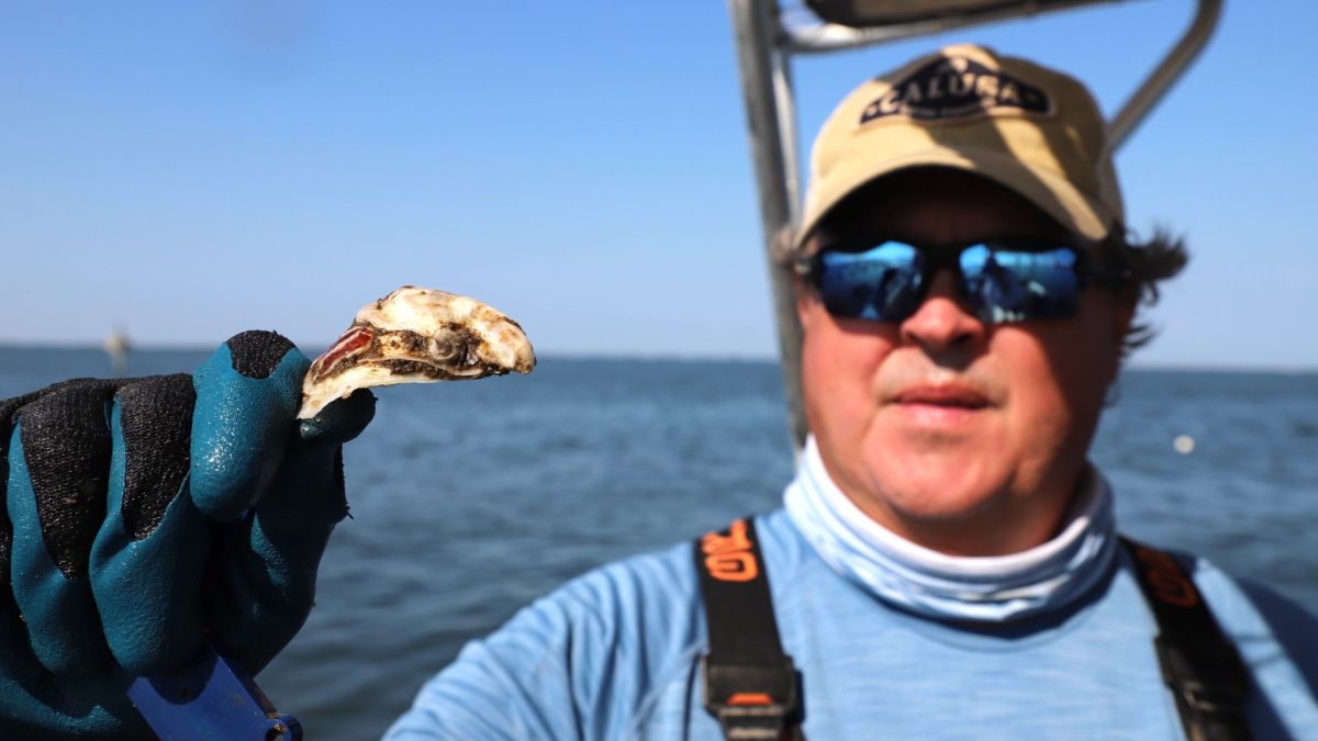 Reed Smith of Calusa Oyster Company, a farm based in Lower Tampa Bay, will be featured in our exhibit.