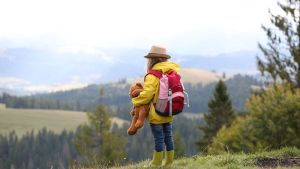 A young child wearing a red backpack and holding a stuffed toy bear, stands on a ridge and looks out at some hills on a foggy day