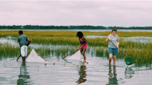 Children from local NC community group use nets to collect estuarine species. Photo courtesy of North Carolina Coastal Federation