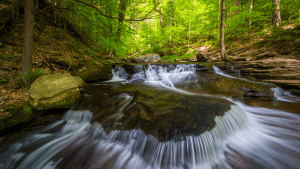 Long exposure photo of a flowing river and forest