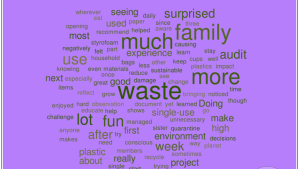 Purple background word map that reads, "much, seeing, surprised, family, experience, good, waste, more, lot, fun, enjoyed, challenge, good, doing, environment, week, project, decisions"