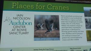Interpretive panel titled "Places for Cranes" with text about and images of two cranes