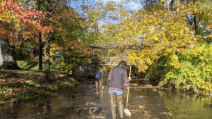 Two people walking in a shallow creek on an autumn day.