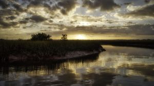 Photo of a salt marsh and water at sunset