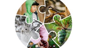 circle puzzle with images of young children in nature