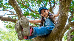 young girl sitting in tree