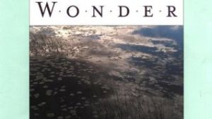 Cover of The Sense of Wonder