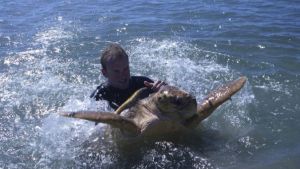 WWF scientist in the water with a marine turtle