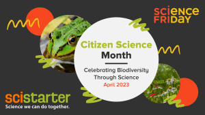 Science Friday logo, "Citizen Science Month: Celebrating Biodiversity Through Science April 2023" scistarter: Science we can do together on black background with white, red, yellow graphics