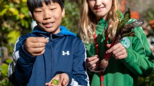 School Overnight Students exploring the IslandWood garden