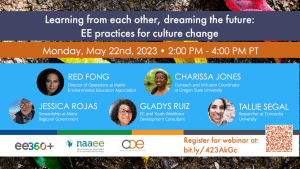 Webinar: Learning from each other, dreaming the future: EE practices for culture change