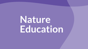 "Nature Educatin" on purple graphics 