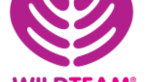 WildTeam UK Logo