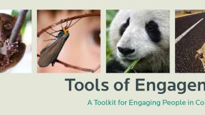 Tools of Engagement cover