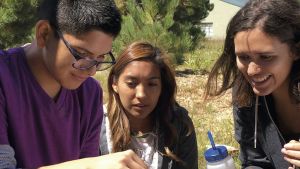 Cover image for book showing three students working with soil